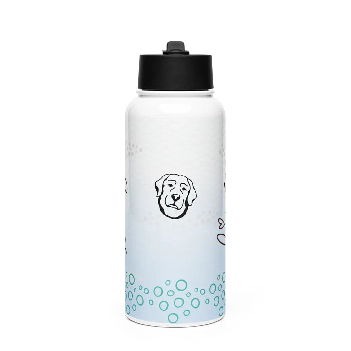 Lingling Kwong Stainless Steel Water Bottle With a Straw Lid product image (1)