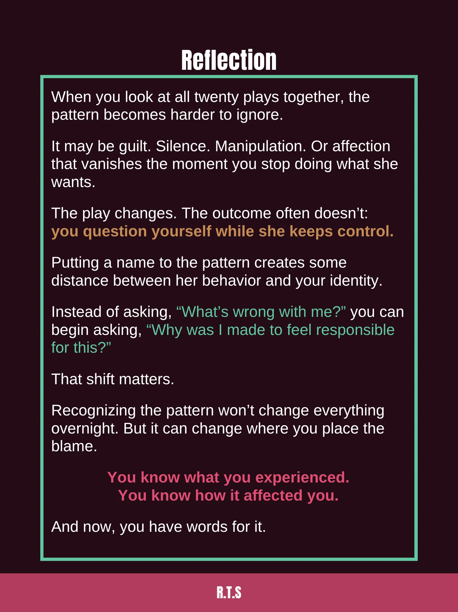 The Covert Narcissistic Mother Playbook product image (5)