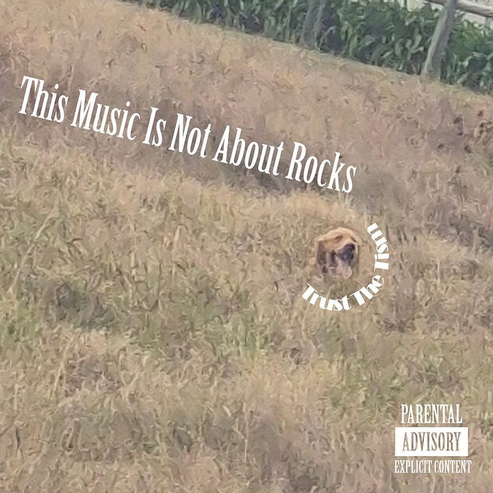 This Music Is Not About Rocks Digital Download product image (1)