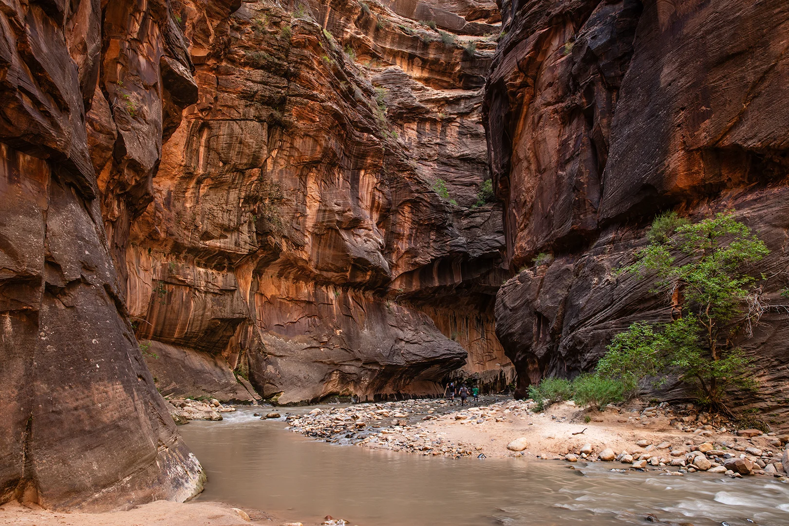 Print - The Narrows, Zion National Park product image (13)