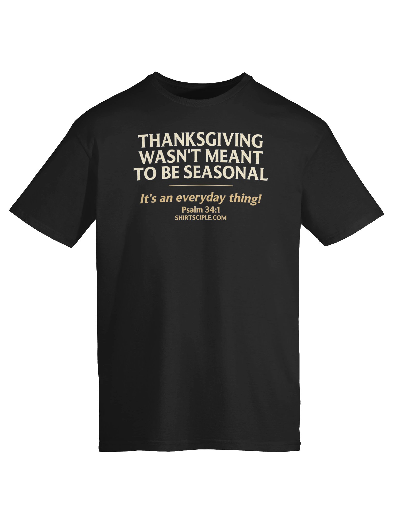 Thanksgiving Wasn't Meant To Be Seasonal T-Shirt product image (1)