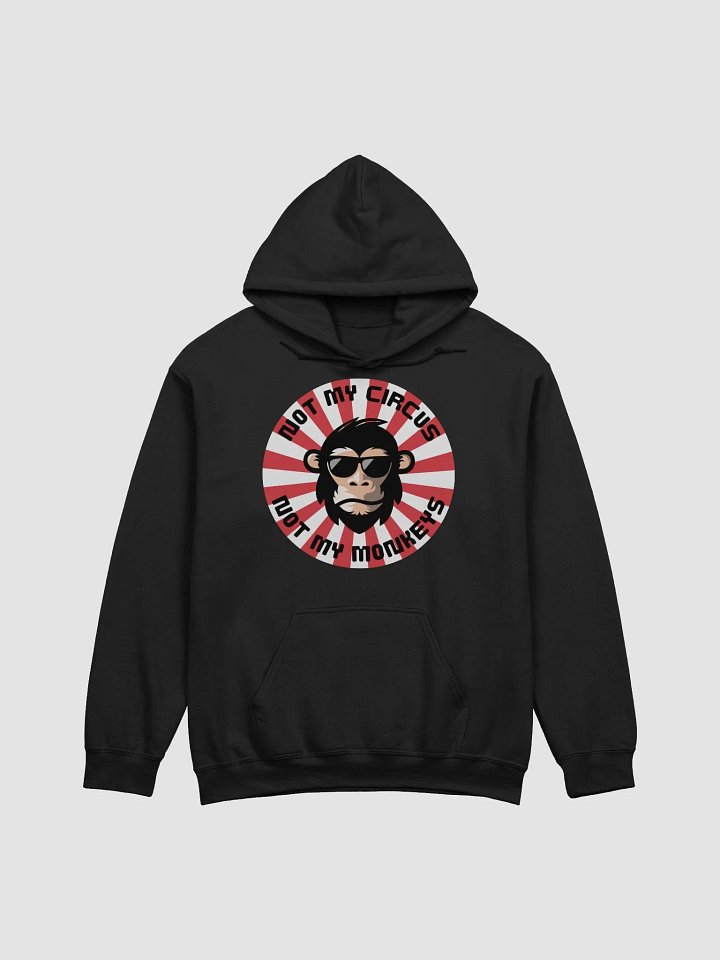 Not My Circus Vibes Hoodie product image (100)