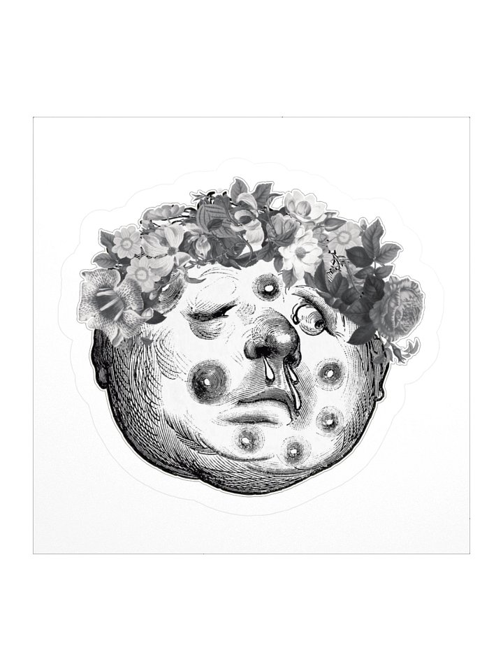 Hey Fever product image (1)