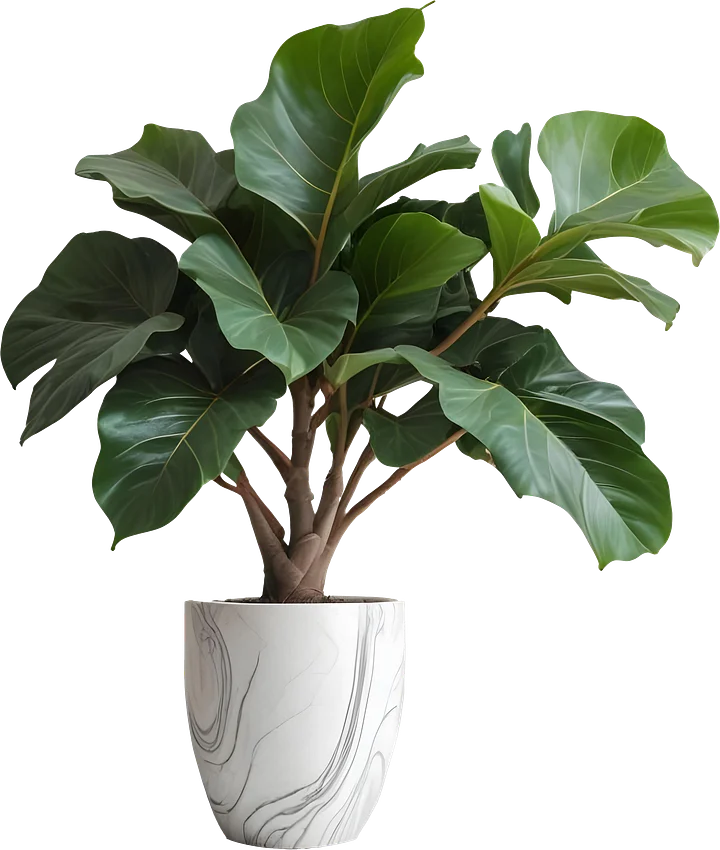 Marble Eternal – Minimalist Marble Planter PNG product image (1)