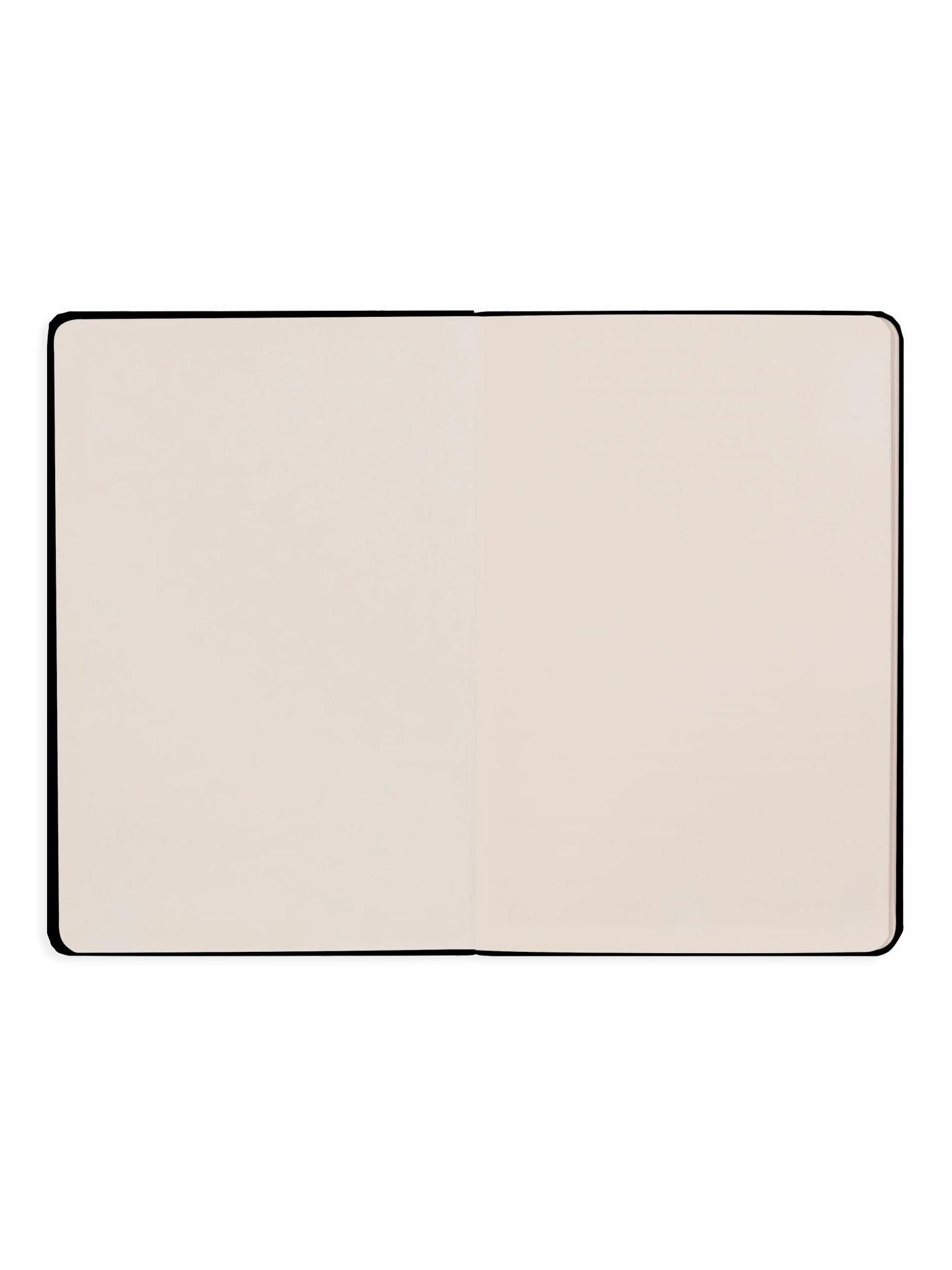 Extraordinary & Familiar Notebook - Diana product image (3)