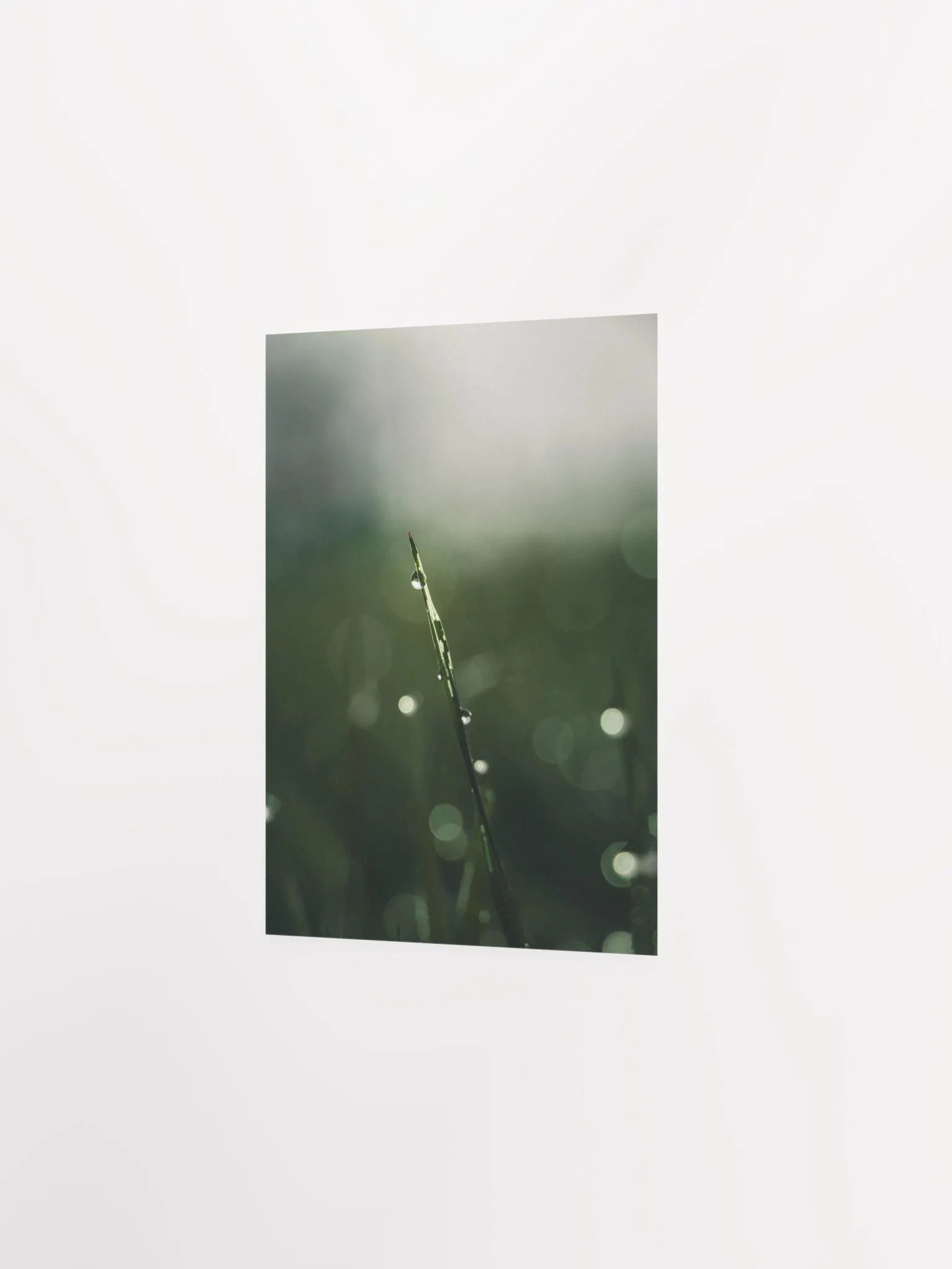Lonely product image (5)