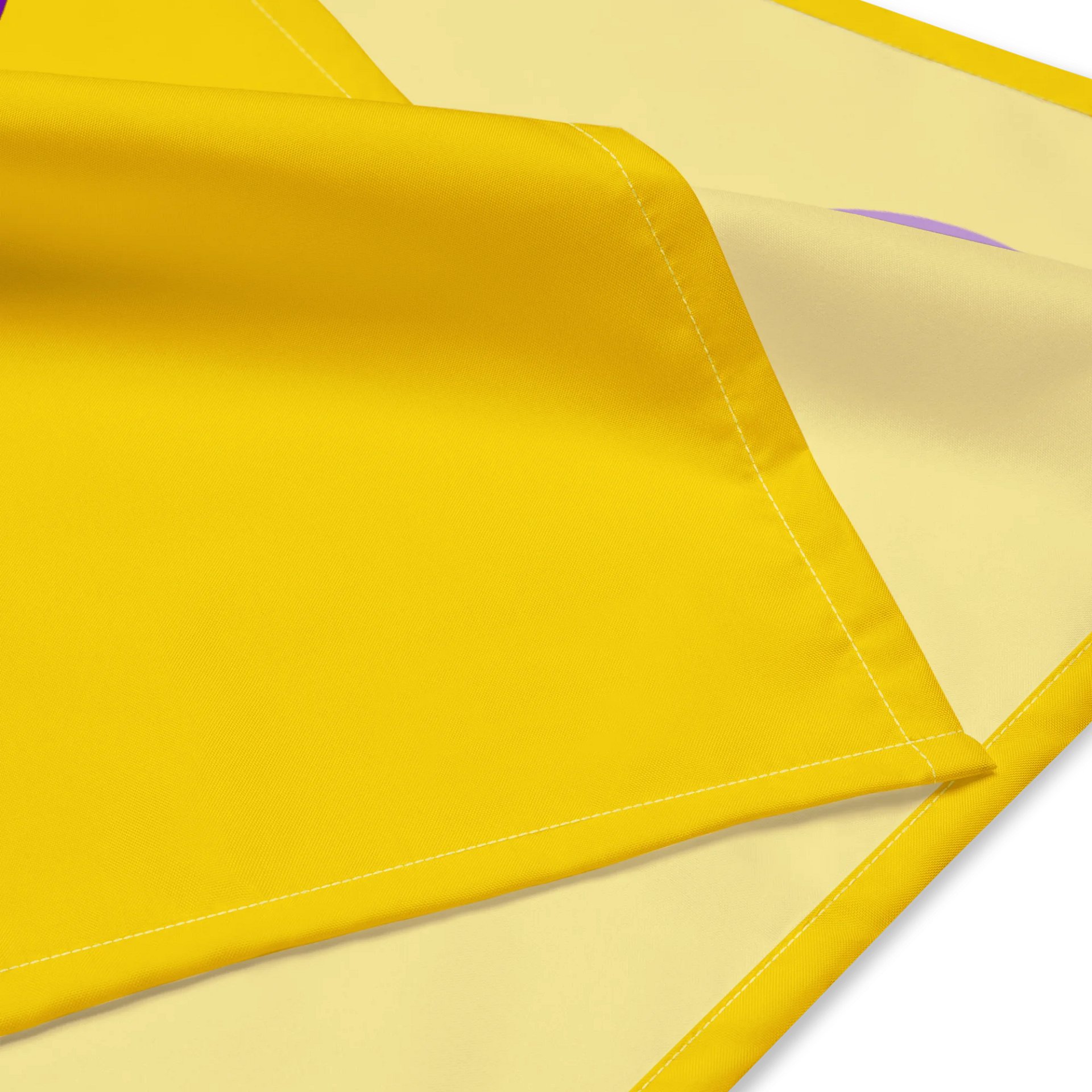 Intersex Pride Flag product image (2)