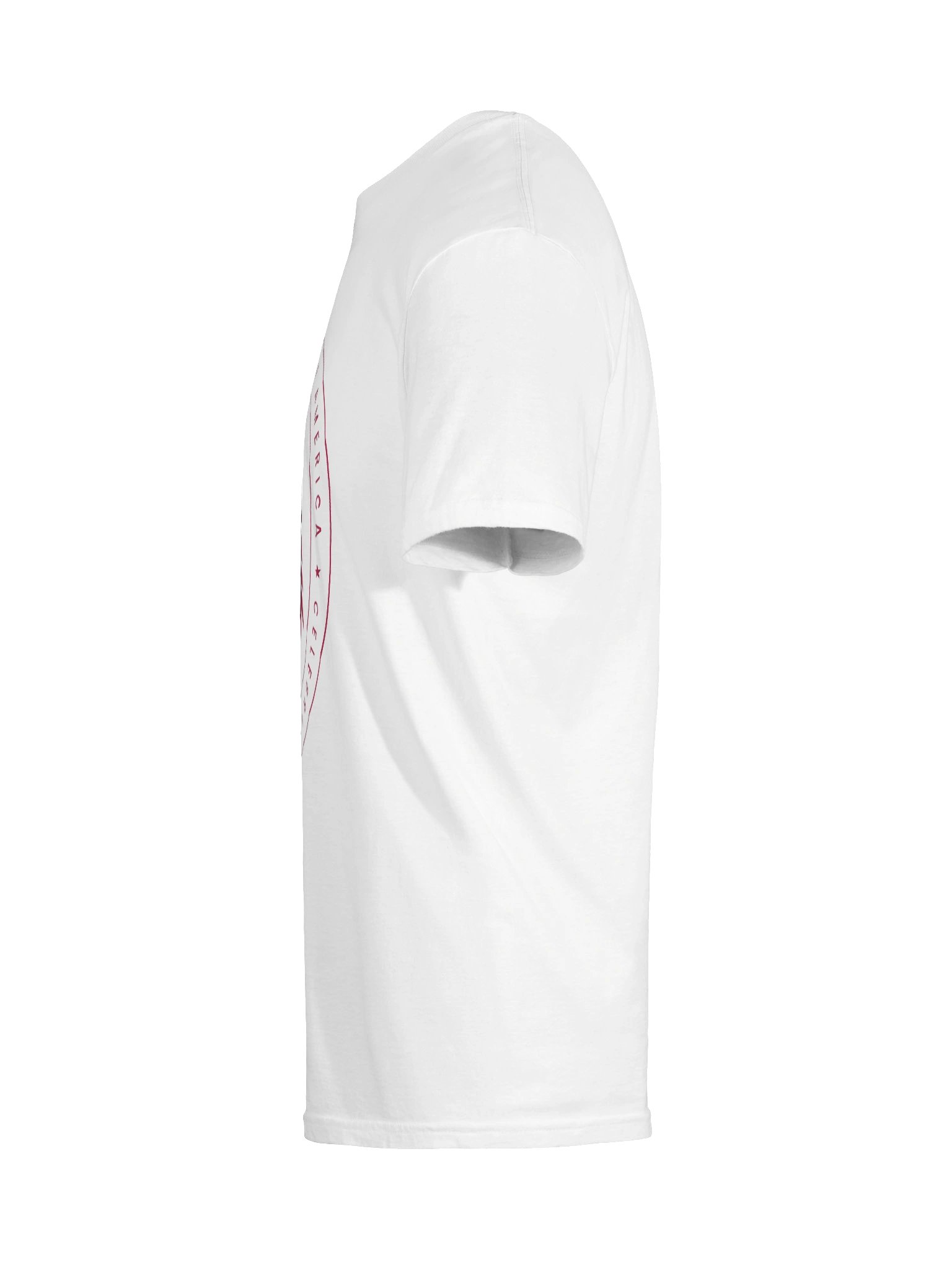 Spirit of the Eagle Unisex T-shirt product image (12)
