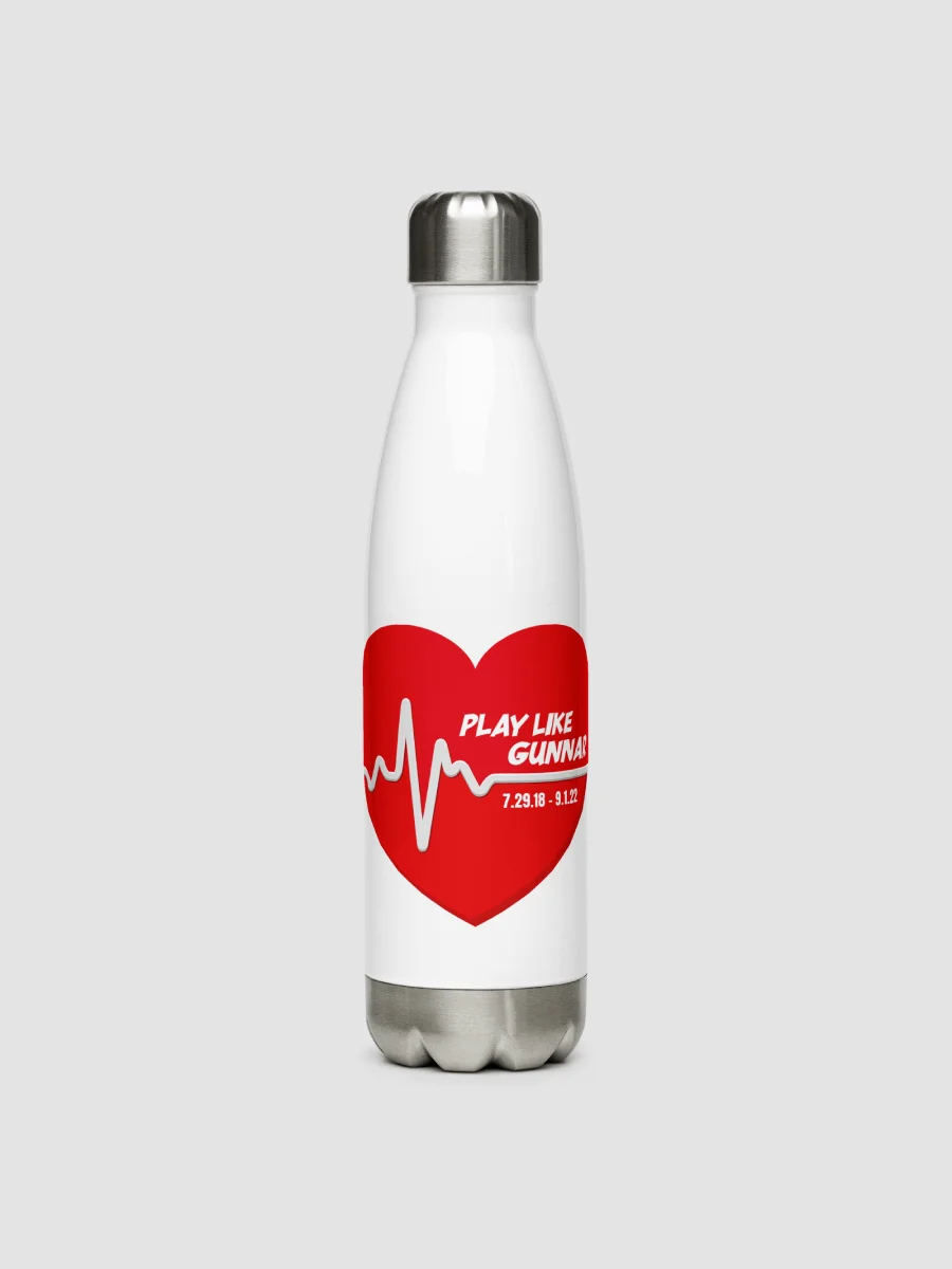 Stainless Steel Water Bottle product image (1)