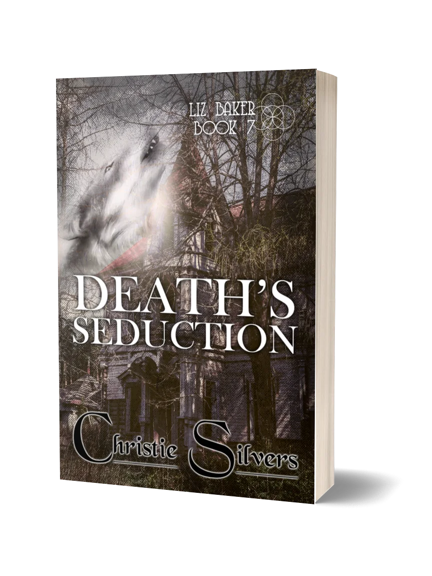 Death's Seduction (Liz Baker, Bk 7) product image (1)