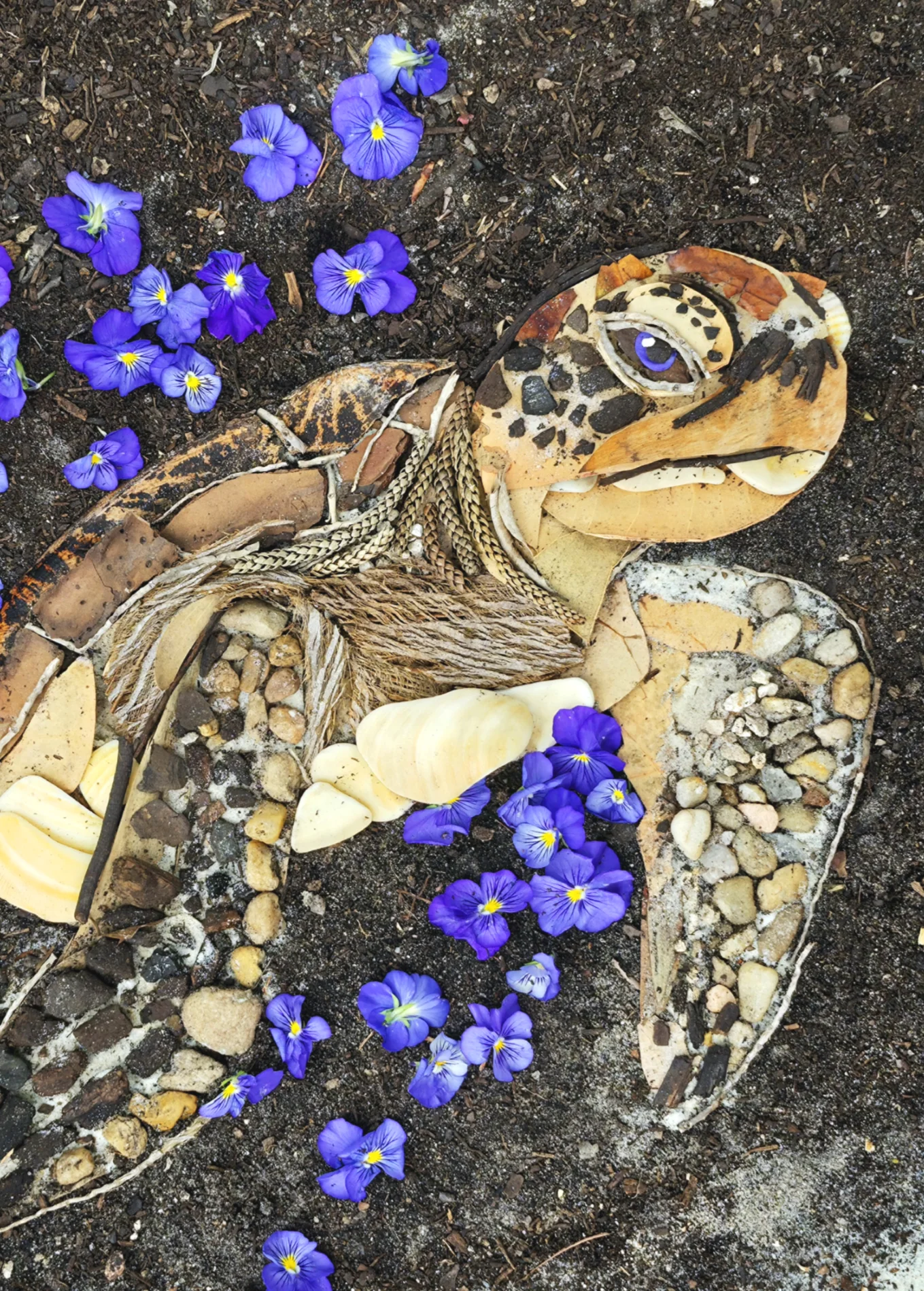 TURTLE TIDE | Fine Art Print product image (1)