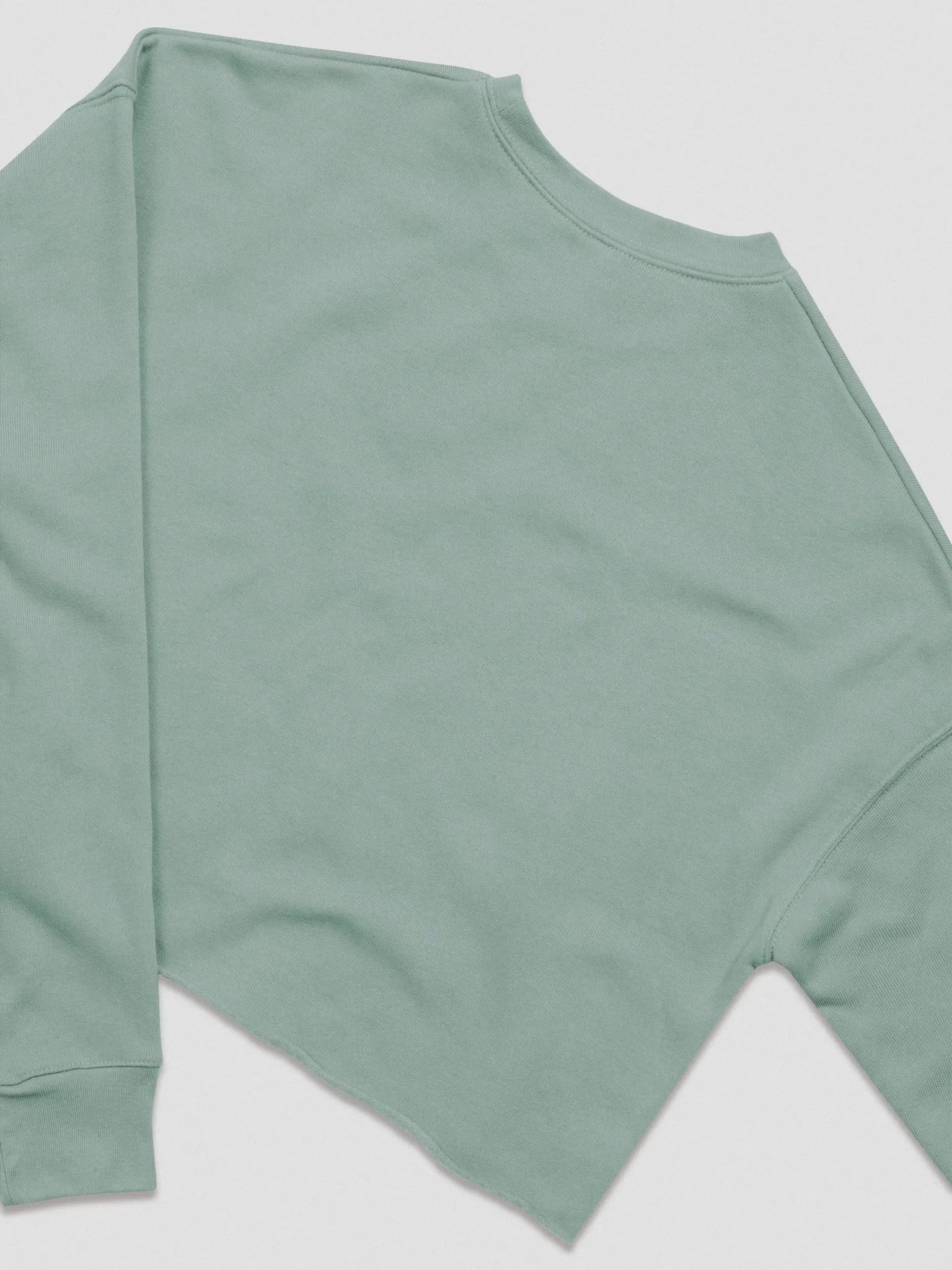 Feed Your Soul (Crop Sweater) product image (7)