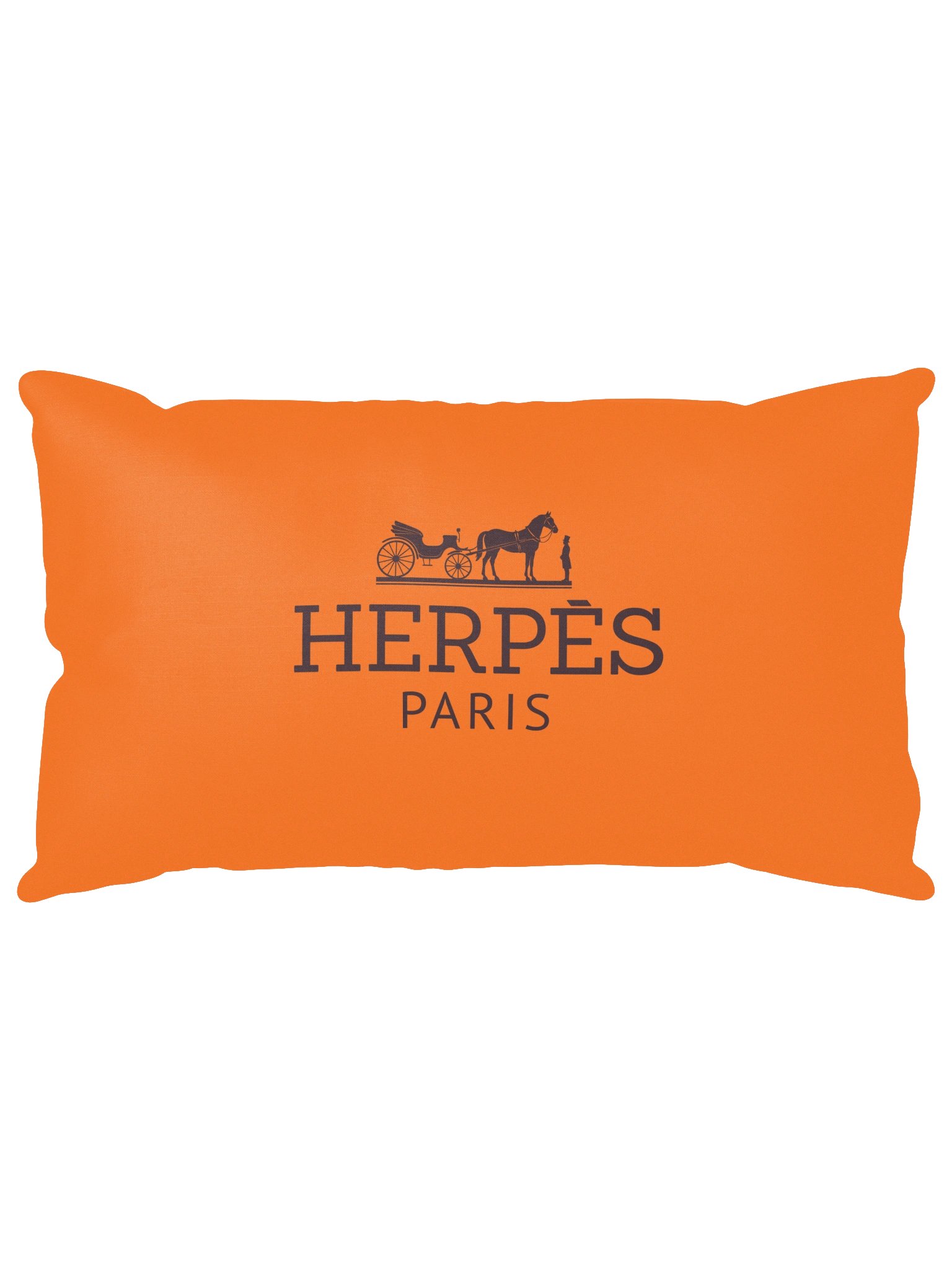 Herpès Pillow Original product image (1)