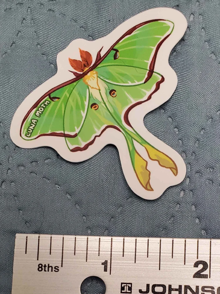 Luna Moth Sticker product image (4)