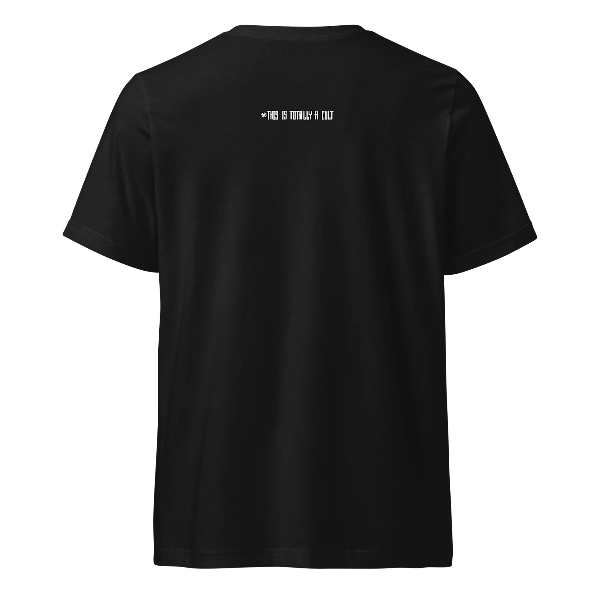This Is Not a Cult - Bella+Canvas Short Sleeve V-Neck Jersey T-Shirt product image (4)