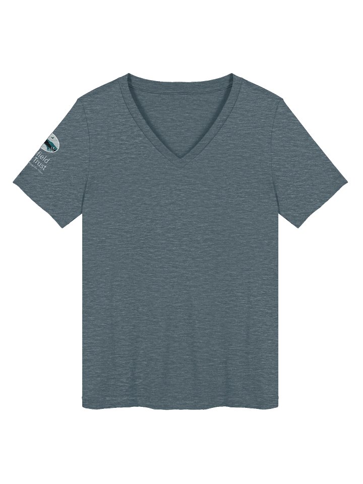Litchfield Land Trust Womens Relaxed V-Neck product image (1)