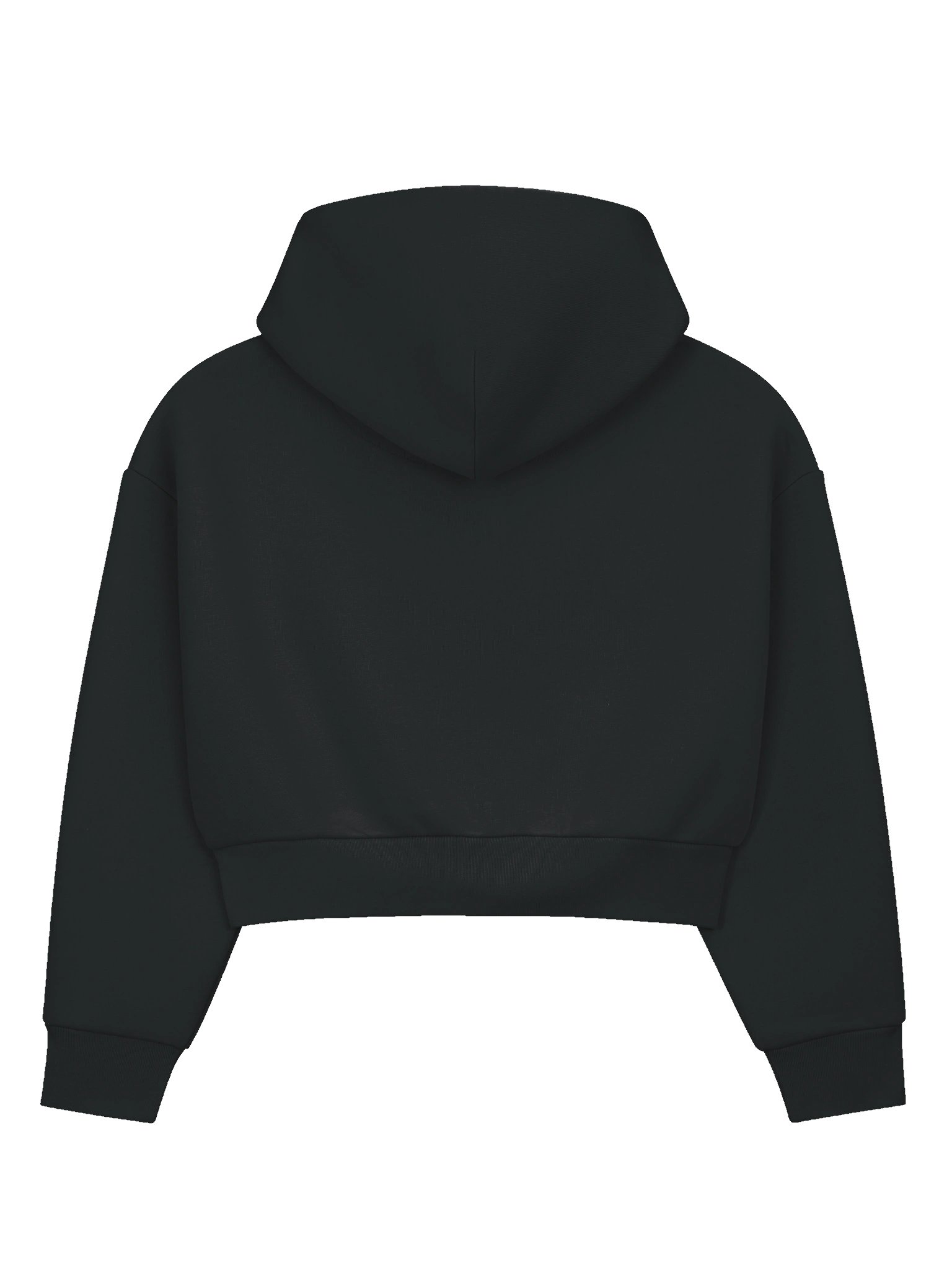 Small Steps Big Goals Guinea Pig Motivational Hoodie product image (2)