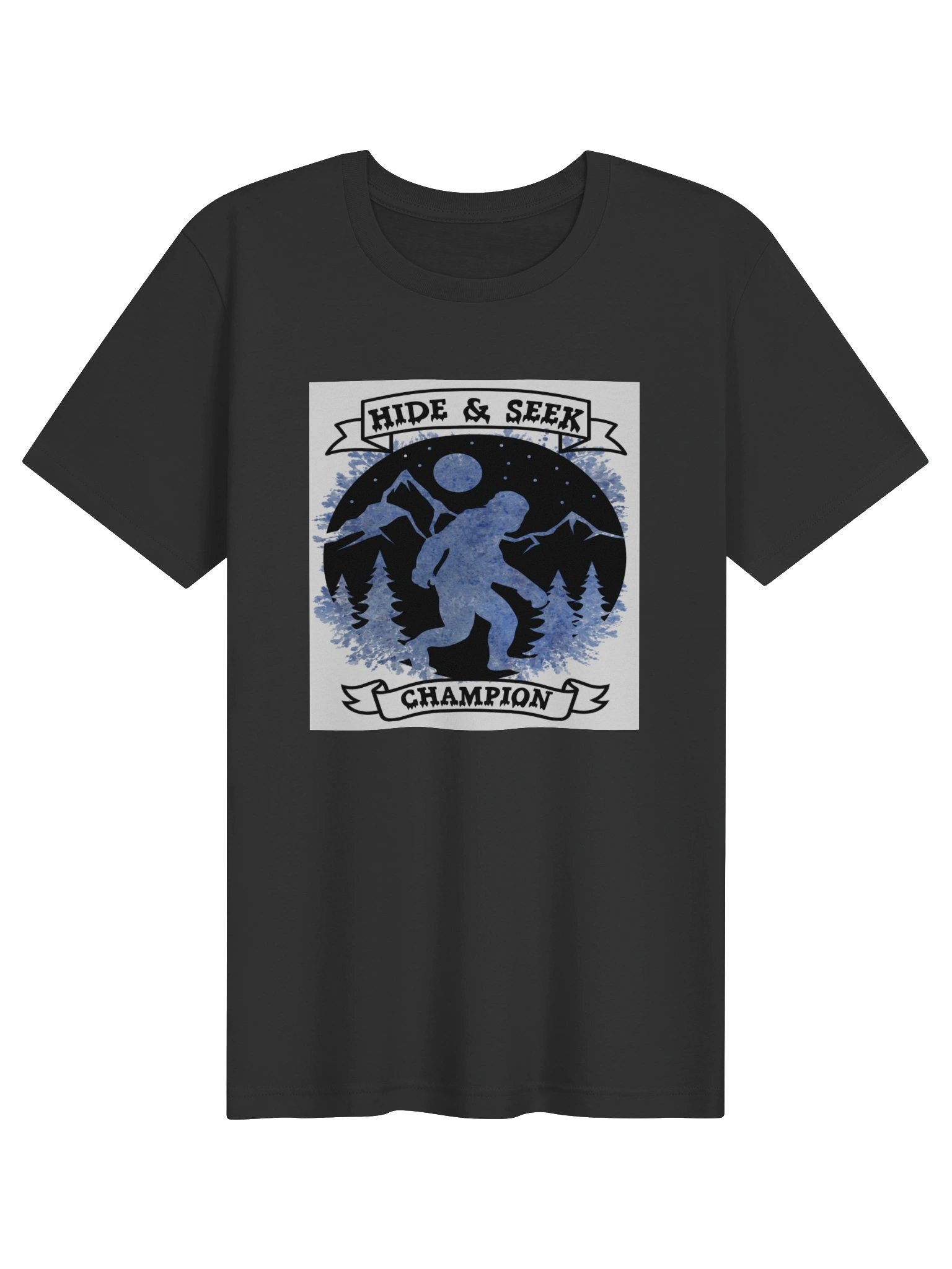 Hide & Seek Champion Graphic Tee product image (2)