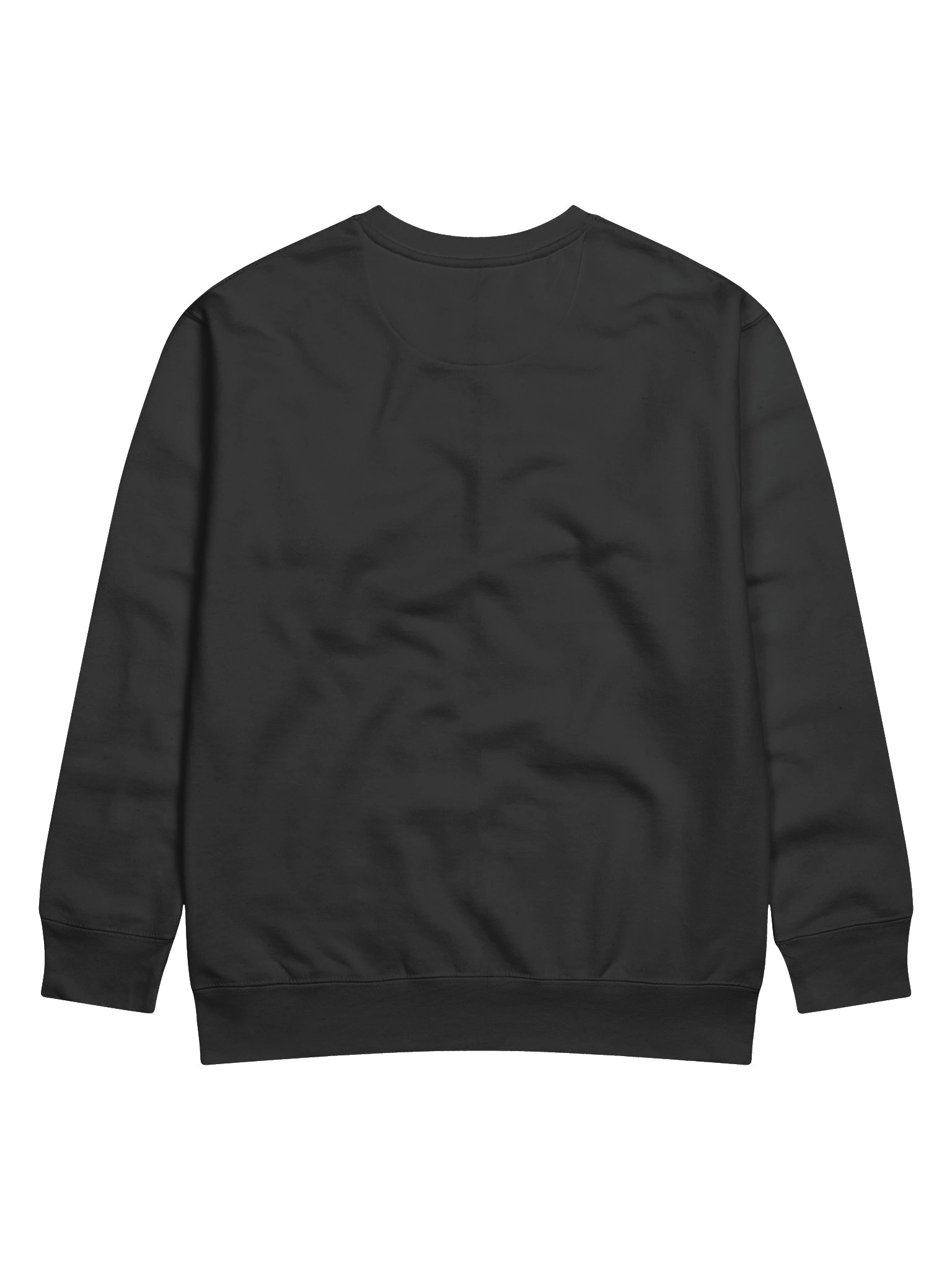 PRIZM Minimal Black Sweatshirt product image (26)