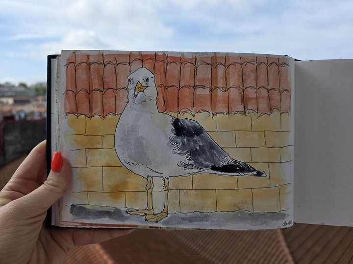 Seagull of Porto product image (1)