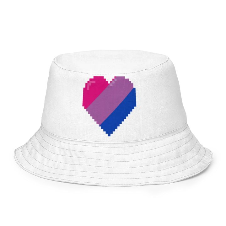 Bi bucket hat product image (2)