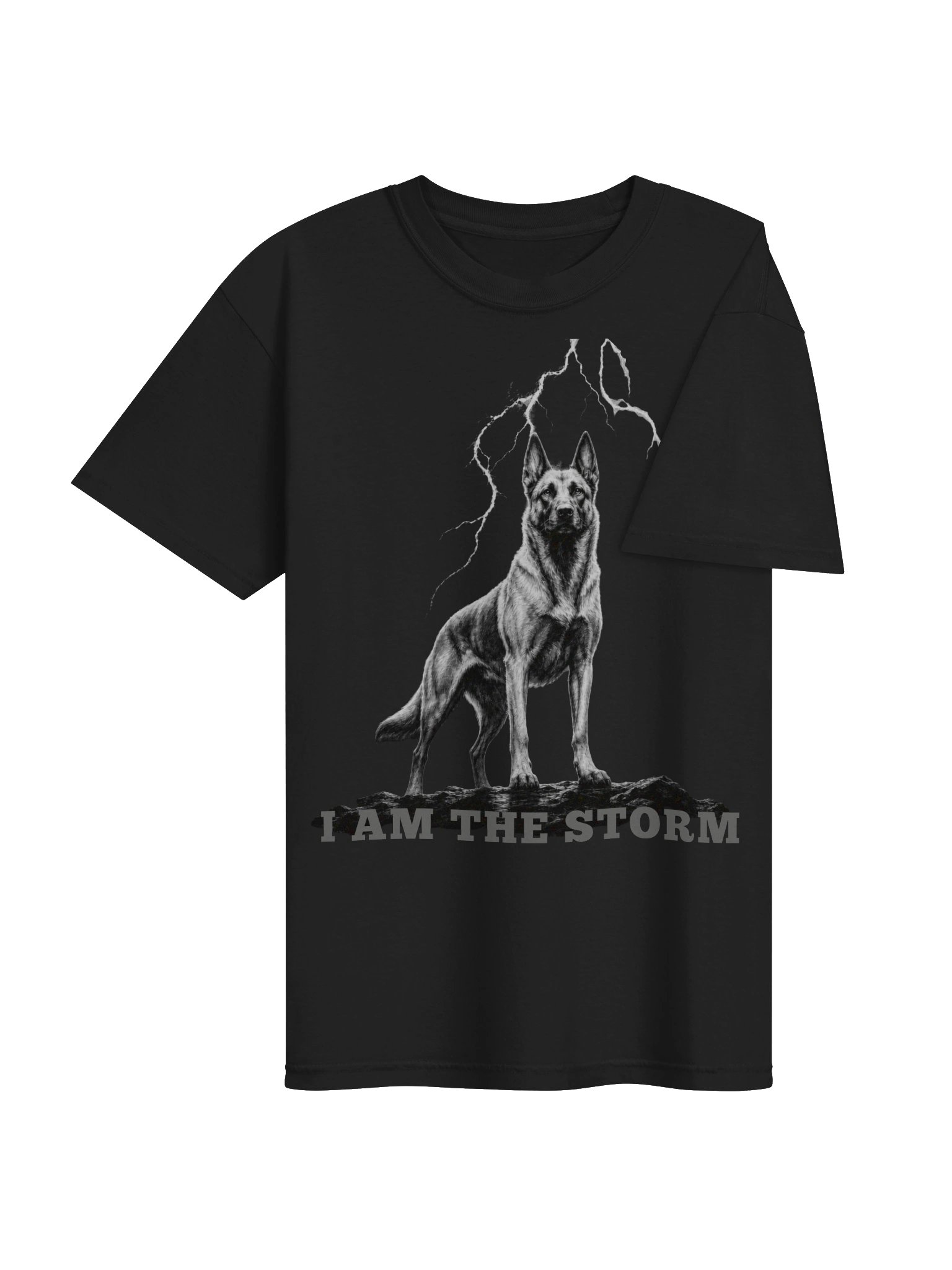 I AM THE STORM product image (12)