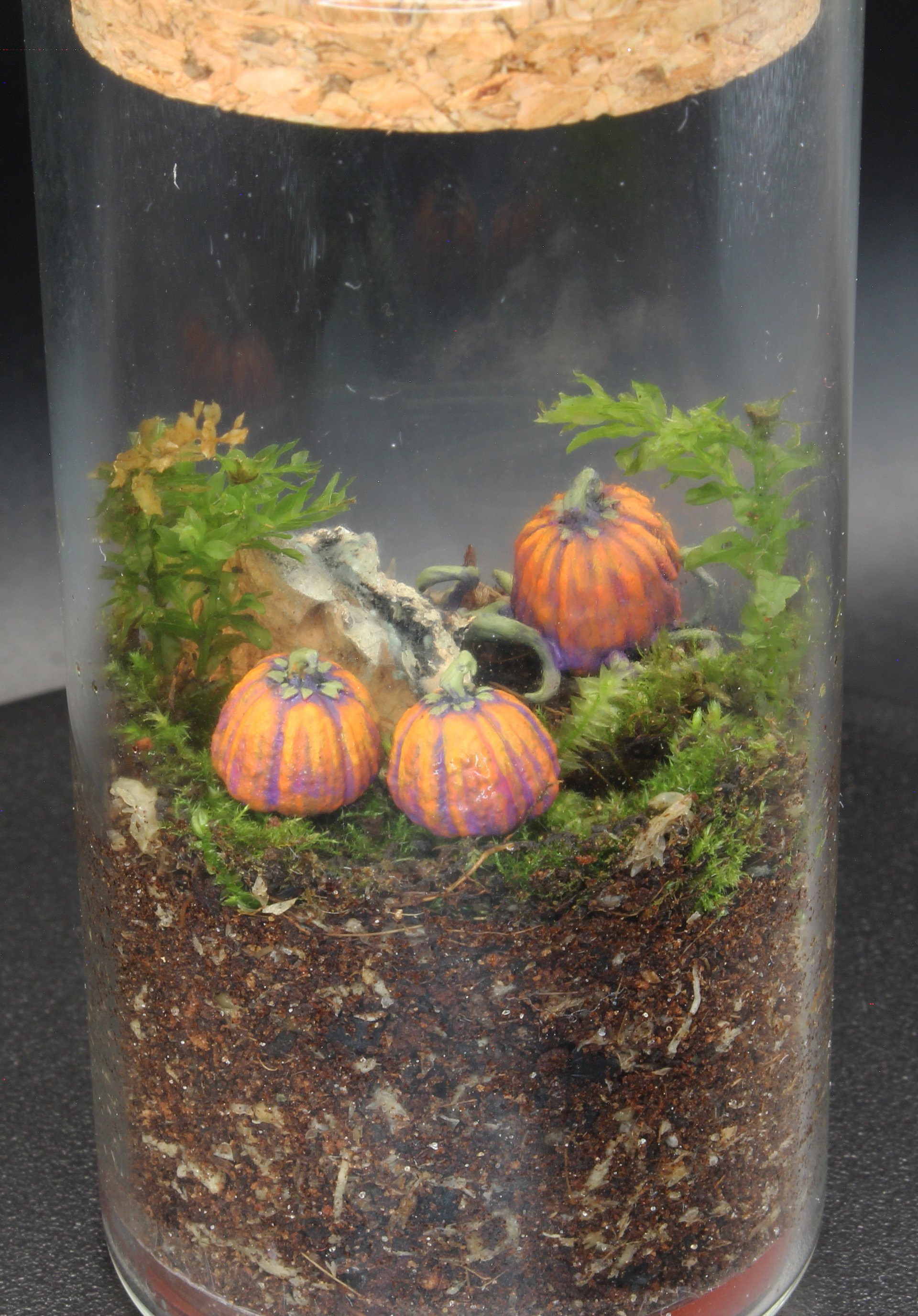 Miniscapes - Halloween - Pumpkins 2 product image (2)