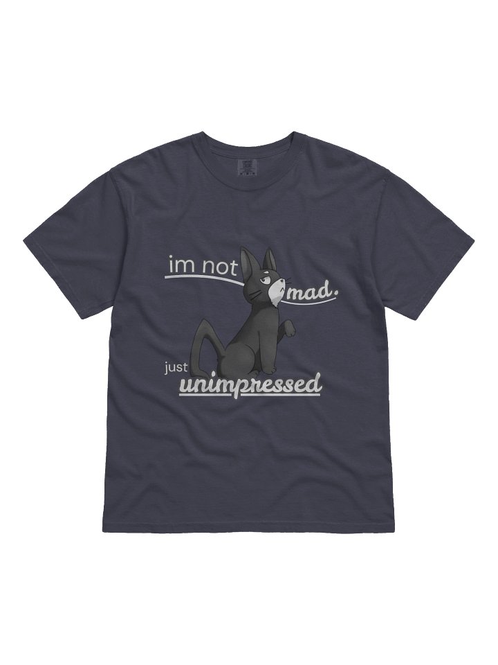 Unimpressed Gato Graphic Unisex Tee (SWAKJam 2026) product image (5)