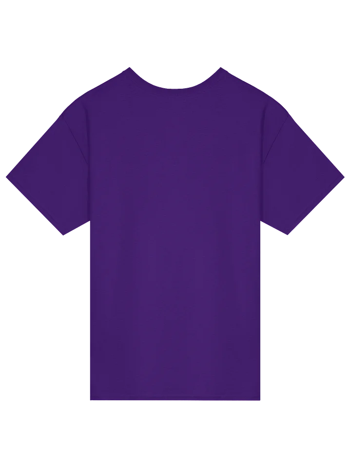 Protect Women's Health - Shirt product image (12)