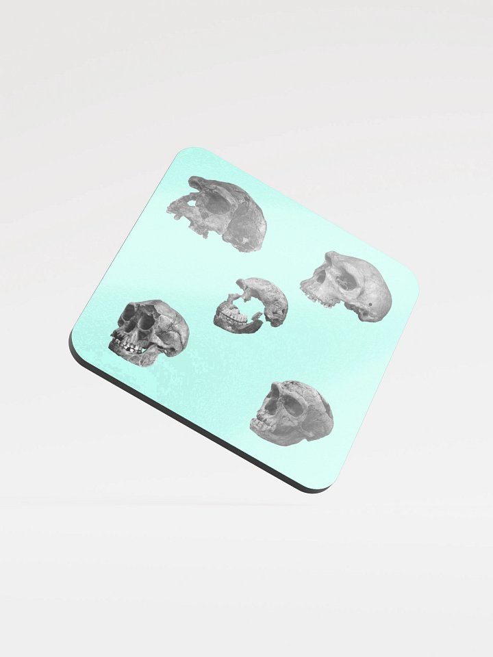 Skulls Coaster product image (1)