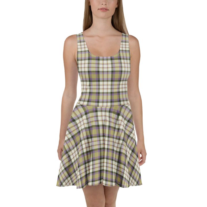 Light FVW Tartan | Skater Dress product image (2)