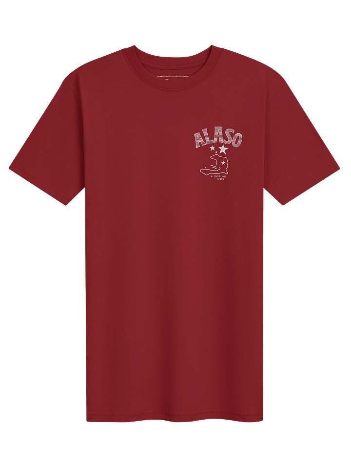 Haiti Alaso Men's Premium Tee product image (1)
