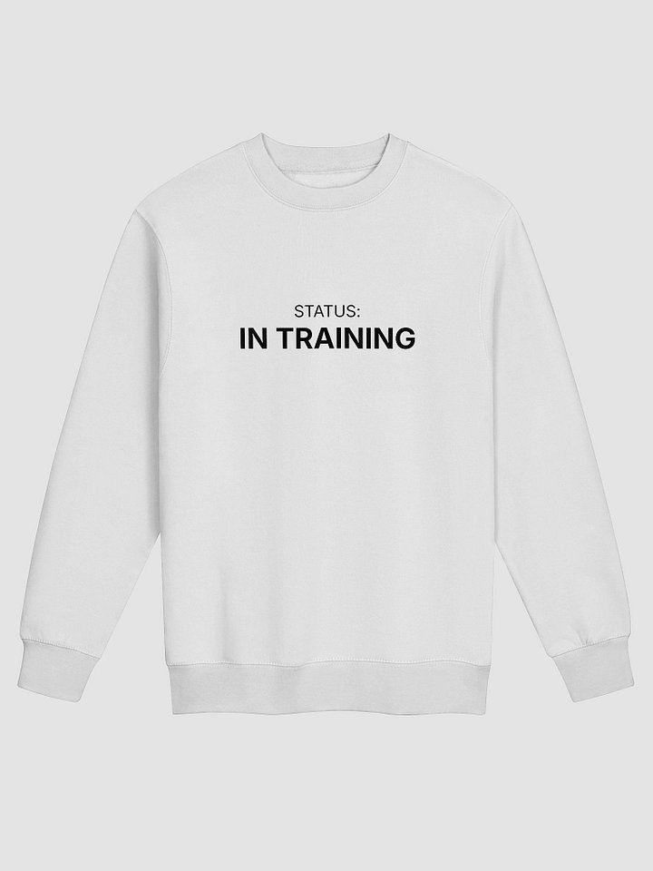 STATUS: IN TRAINING | Professional Identity Sweatshirt product image (1)