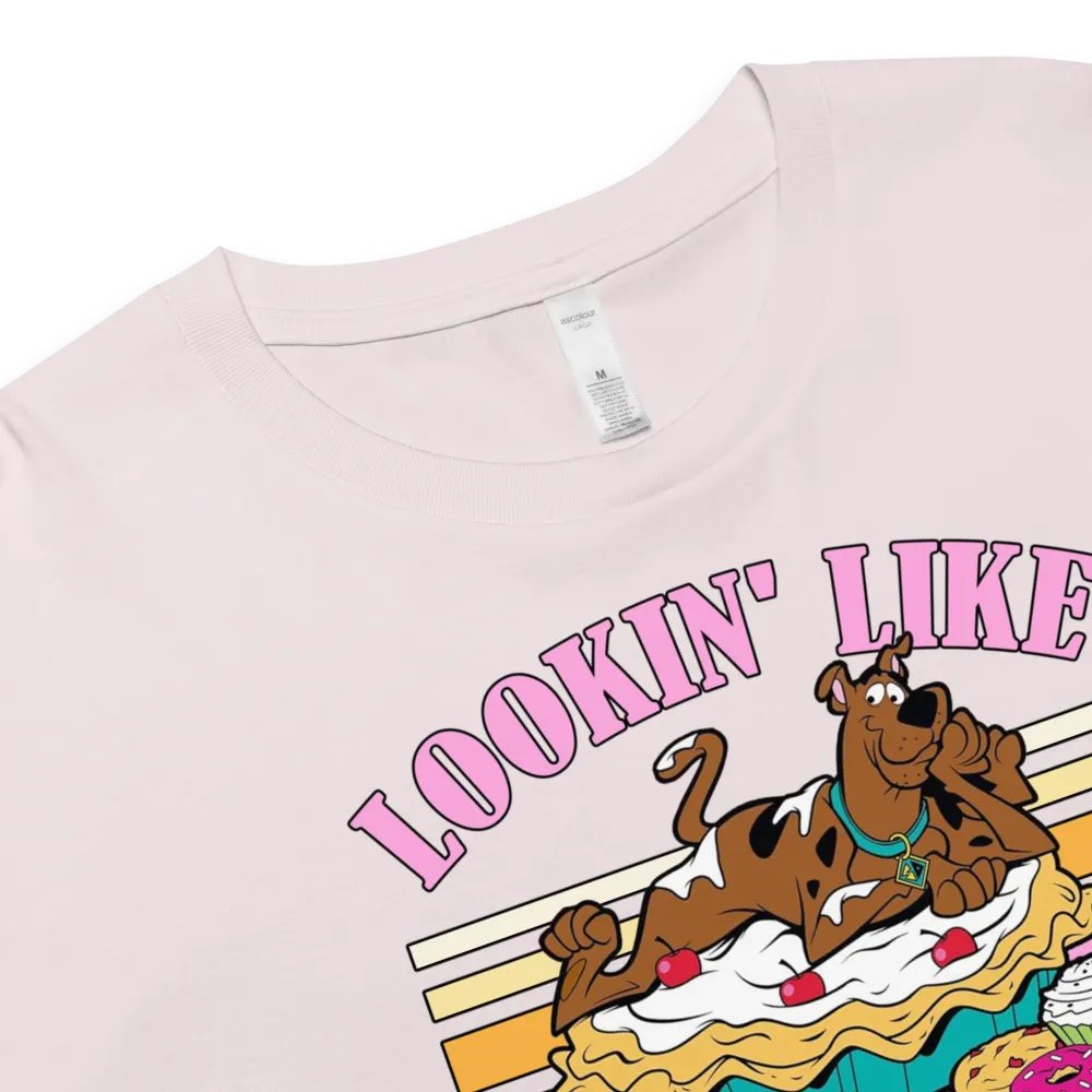 Looking like a snack product image (4)