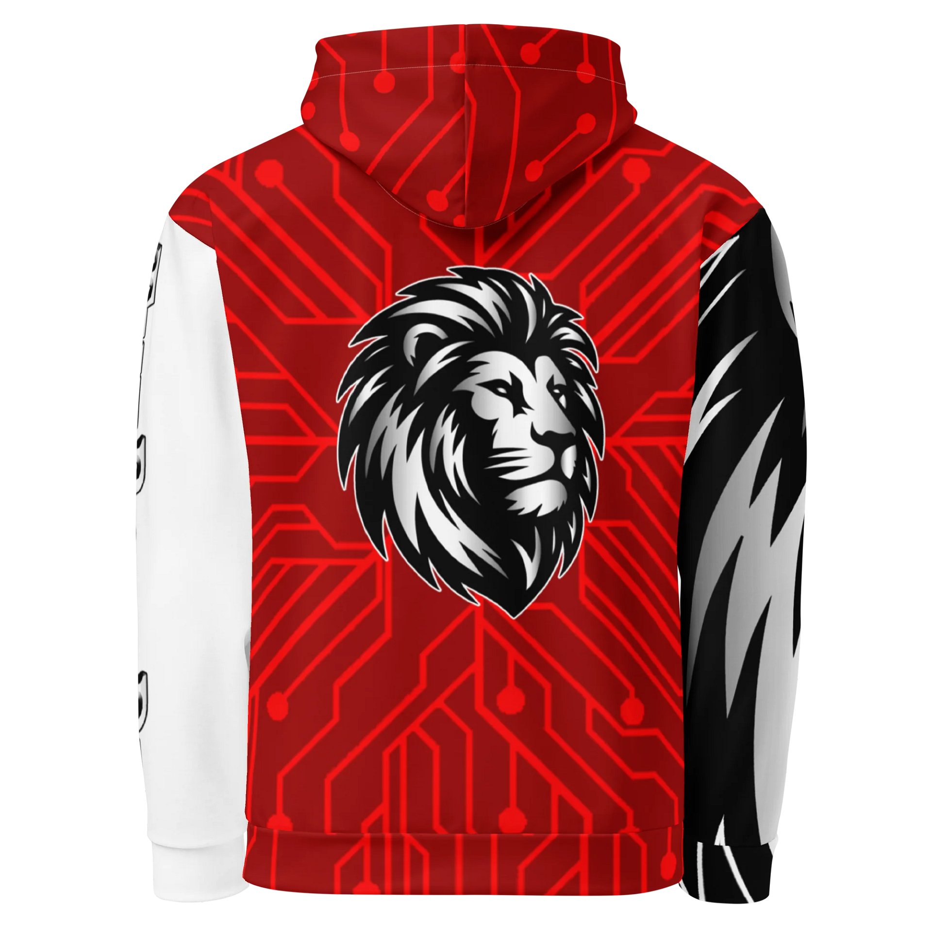 Hoodie product image (2)