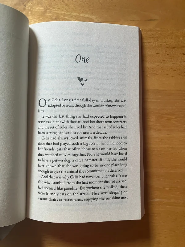 The Vet Upstairs (Signed Paperback) product image (3)
