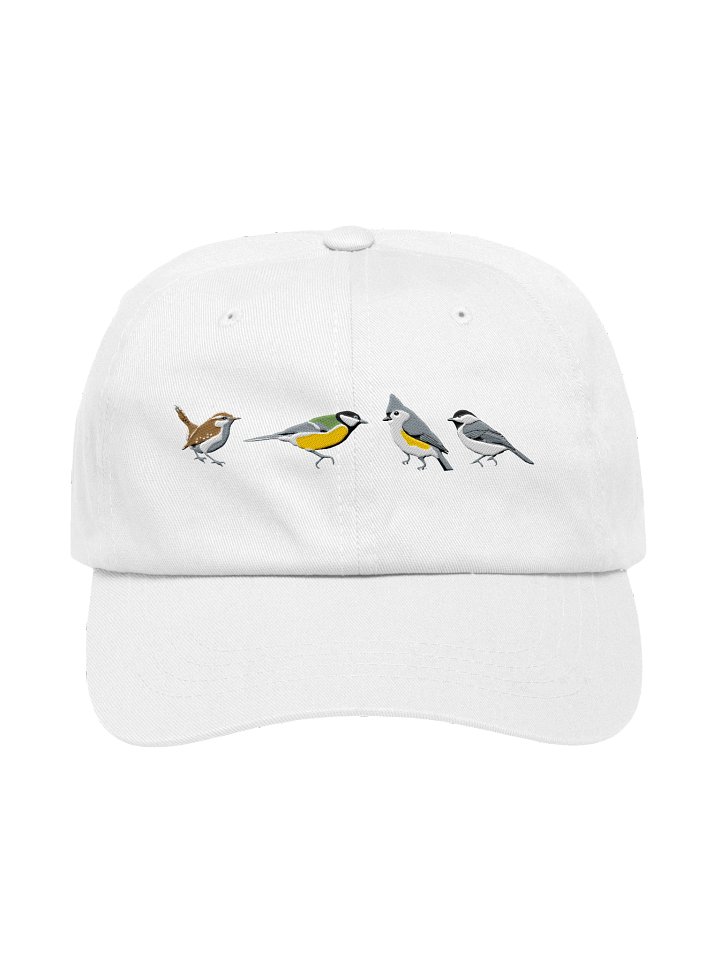 Backyard Birding Embroidered Hat | Carolina Wren, Great Tit, Tufted Titmouse & Chickadee product image (73)