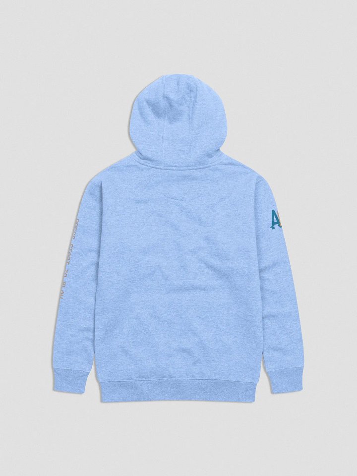 Cozy Parrot Unisex Hoodie product image (14)