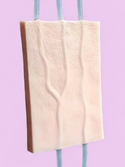 Venipuncture Training Model product image (2)