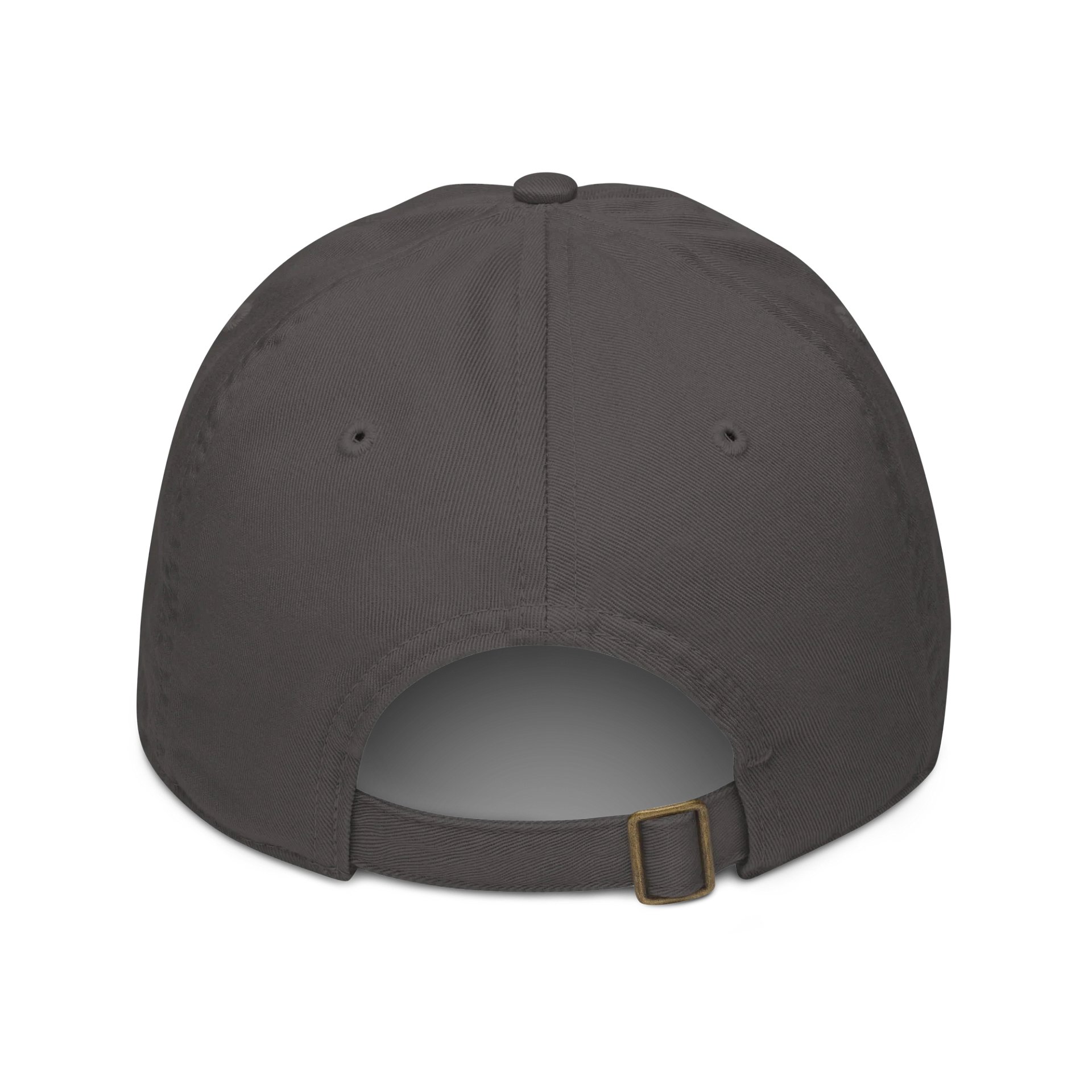 Econscious Organic Dad Hat product image (2)