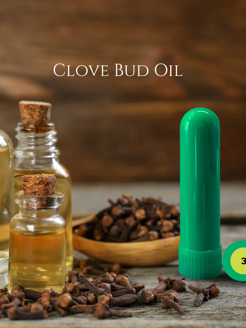 Olfaria Spice Odor Training Kit | 5 Single-Note Essential Oils | Scent Education | Train Your Nose product image (4)
