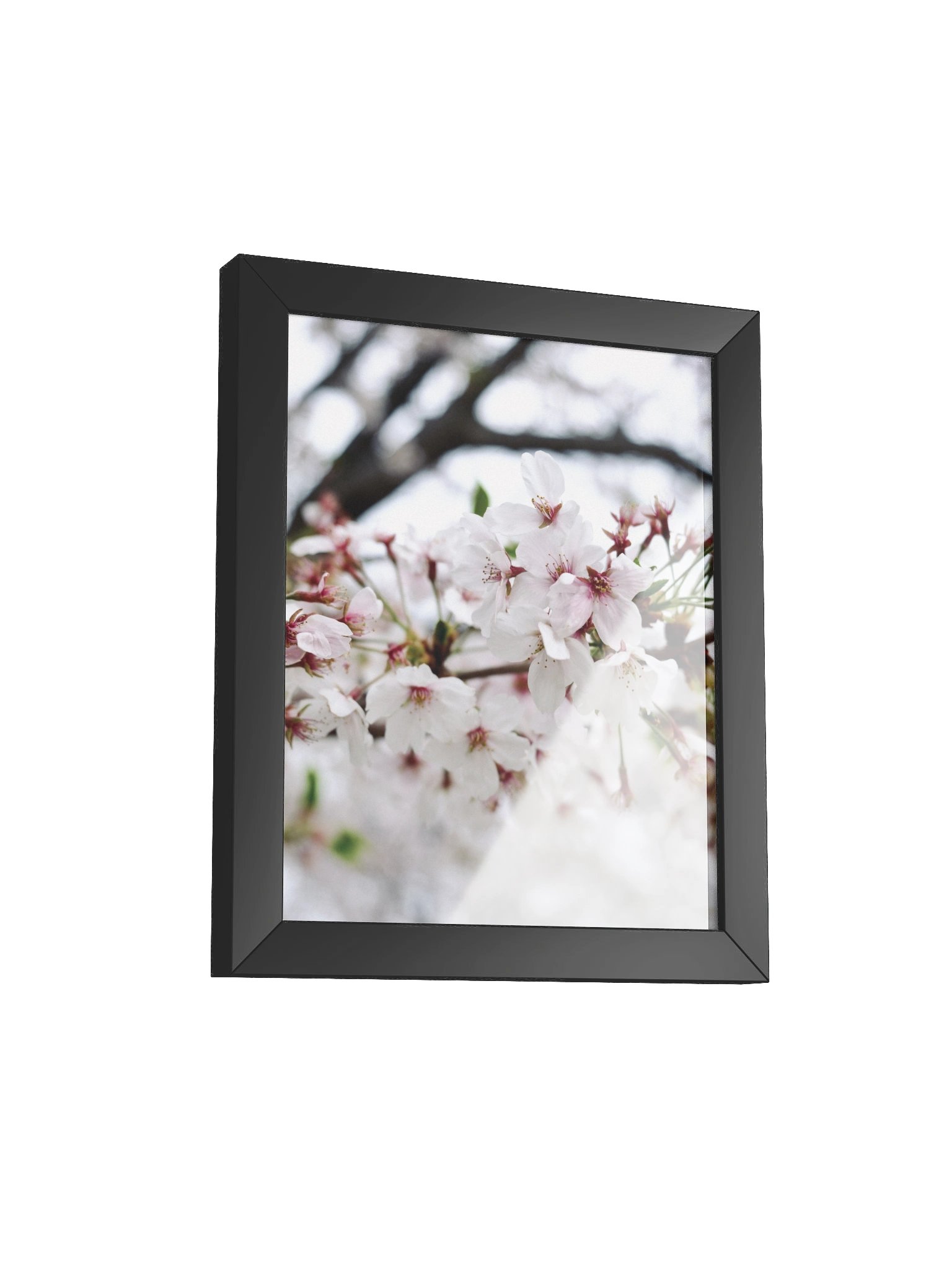 Sakura product image (23)