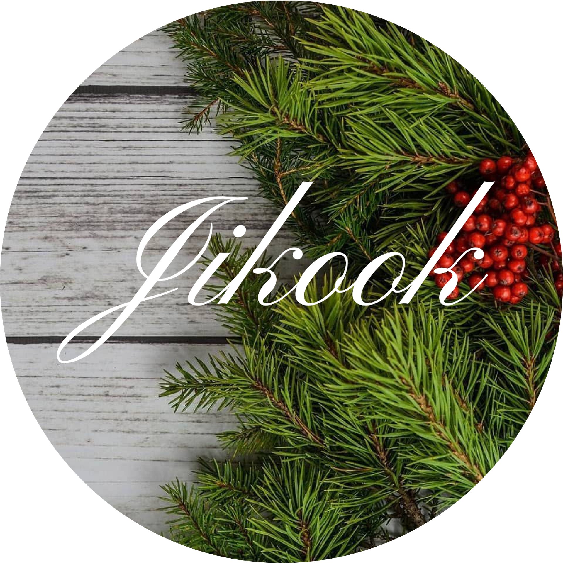 New Free Christmas pfpDigital Product product image (1)