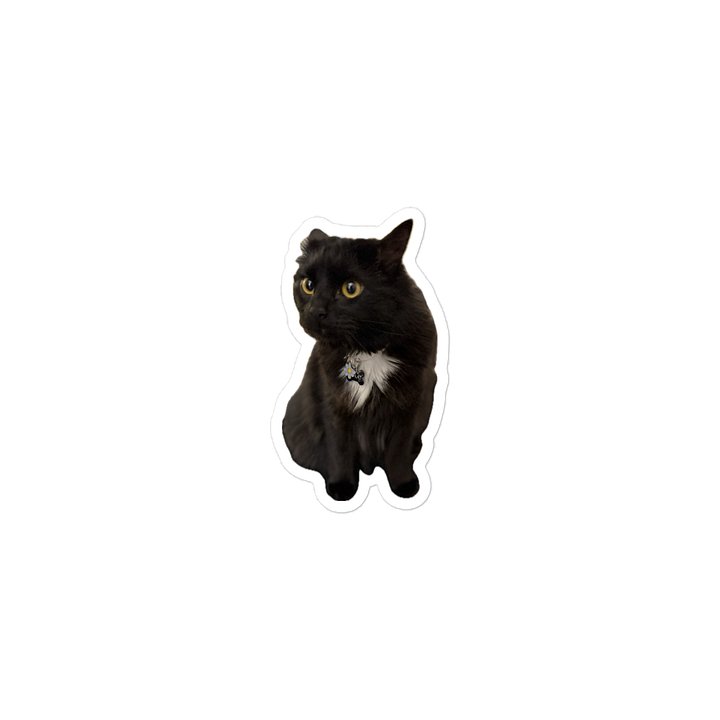 Some Guy's Kat product image (2)