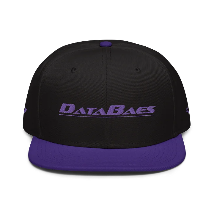 DataBaes Purple Thread Snapback product image (1)