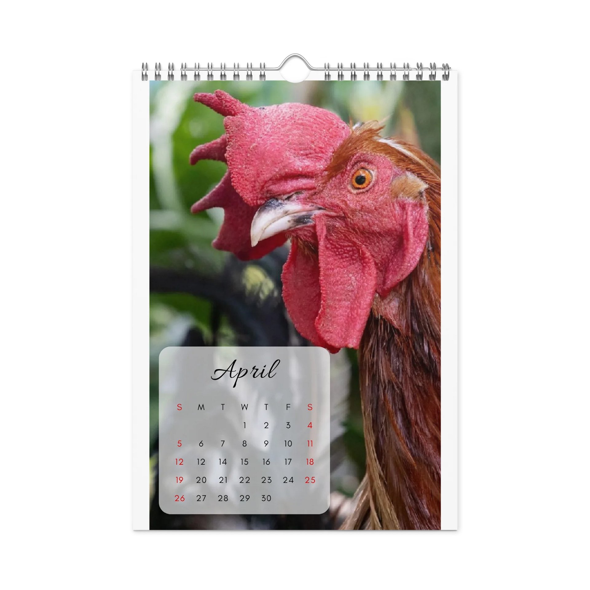 Isla Animals Calendar 2026 product image (11)