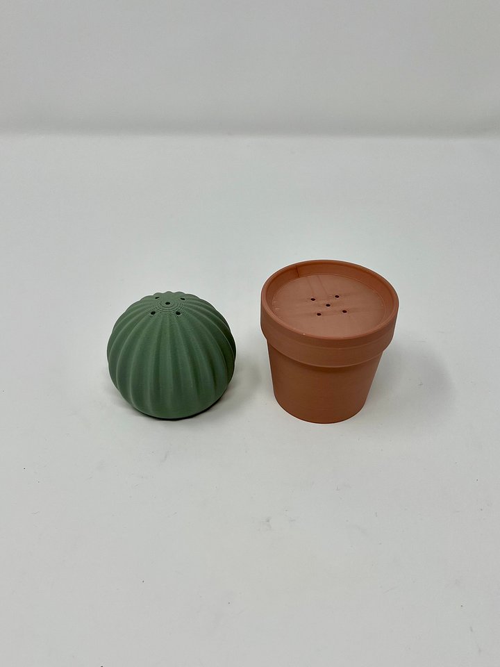 Cactus Salt and Pepper Shakers (3D Printed) product image (2)