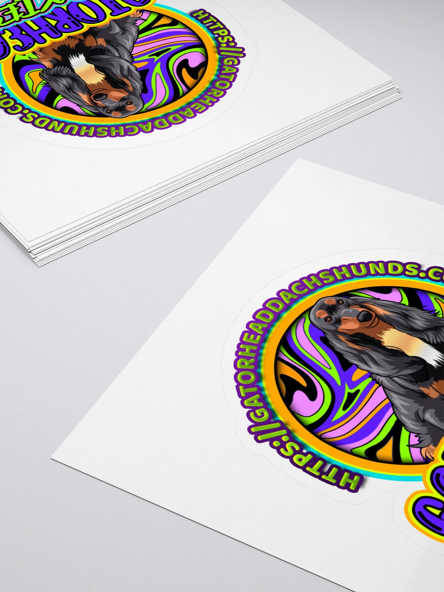 GatorHead Doxie Sticker product image (4)
