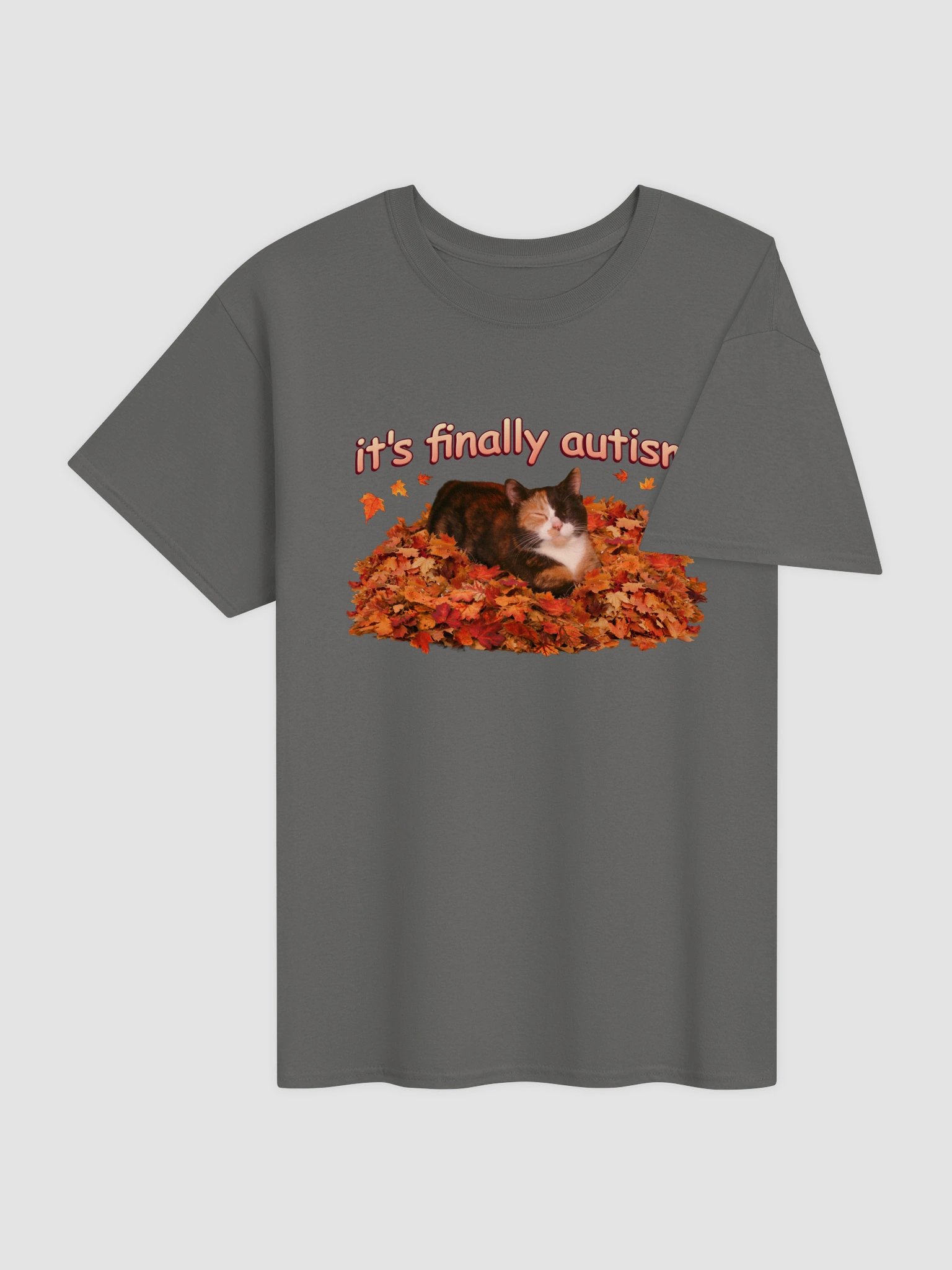 It's Finally Autism Autumn Cat T-shirt product image (65)