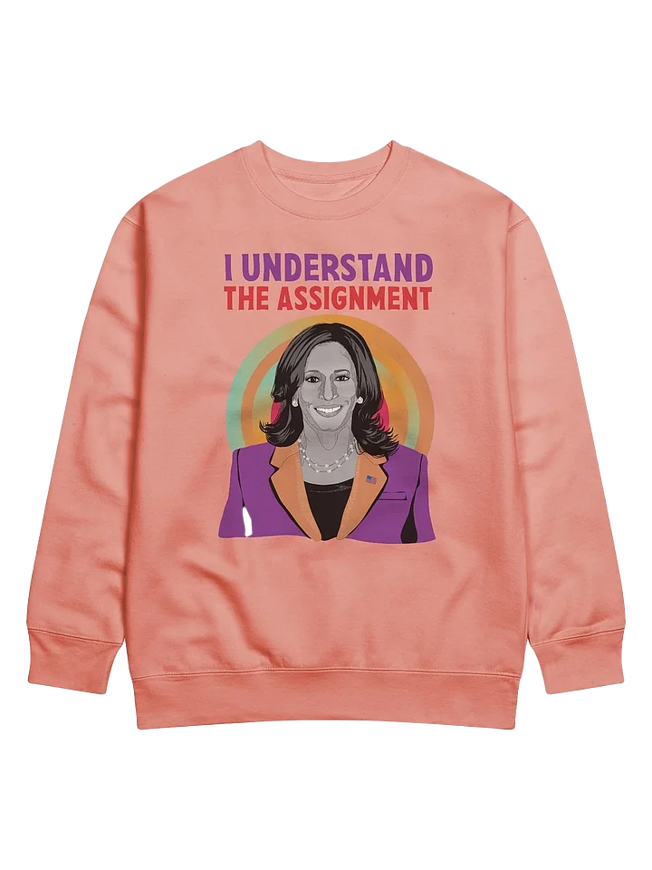I Understand the Assignment Kamala Harris 2024 Election Day Sweatshirt product image (1)